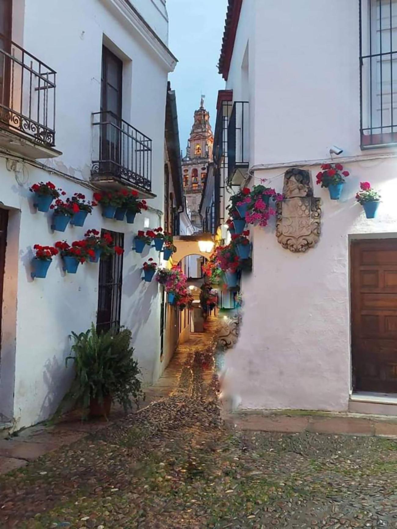 Nieves Viejas Los Patios Cordoba Exterior photo
